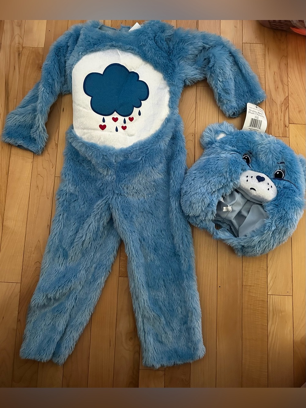 Care Bears Grumpy Bear One-Piece Kids Costume with Hood NWT 3t-4t